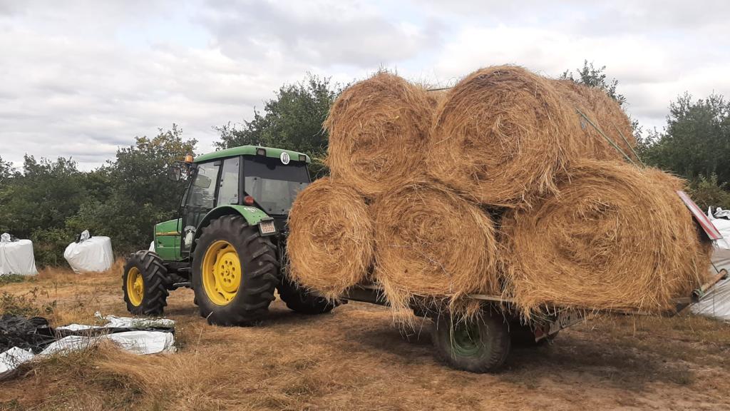 servicios agrícolas forestales Ourense Desbroces Poda Agricultura Riego Forestal Tractor Campo Leña  Siembra  Plantaciones Trasplantes