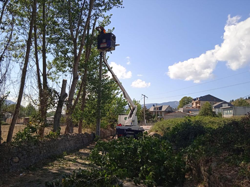 servicios agrícolas forestales Ourense Desbroces Poda Agricultura Riego Forestal Tractor Campo Leña  Siembra  Plantaciones Trasplantes