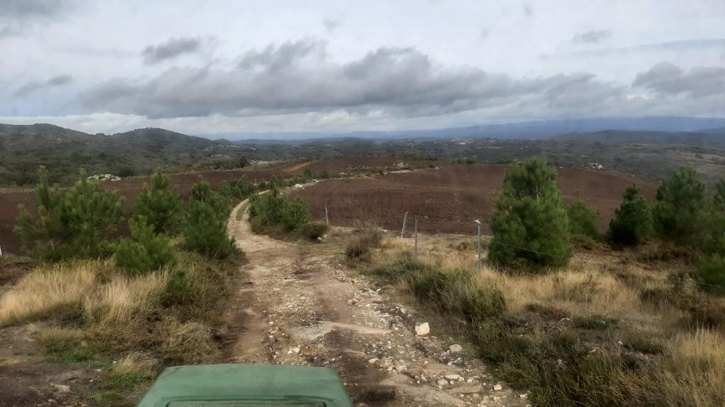 servicios agrícolas forestales Ourense Desbroces Poda Agricultura Riego Forestal Tractor Campo Leña  Siembra  Plantaciones Trasplantes